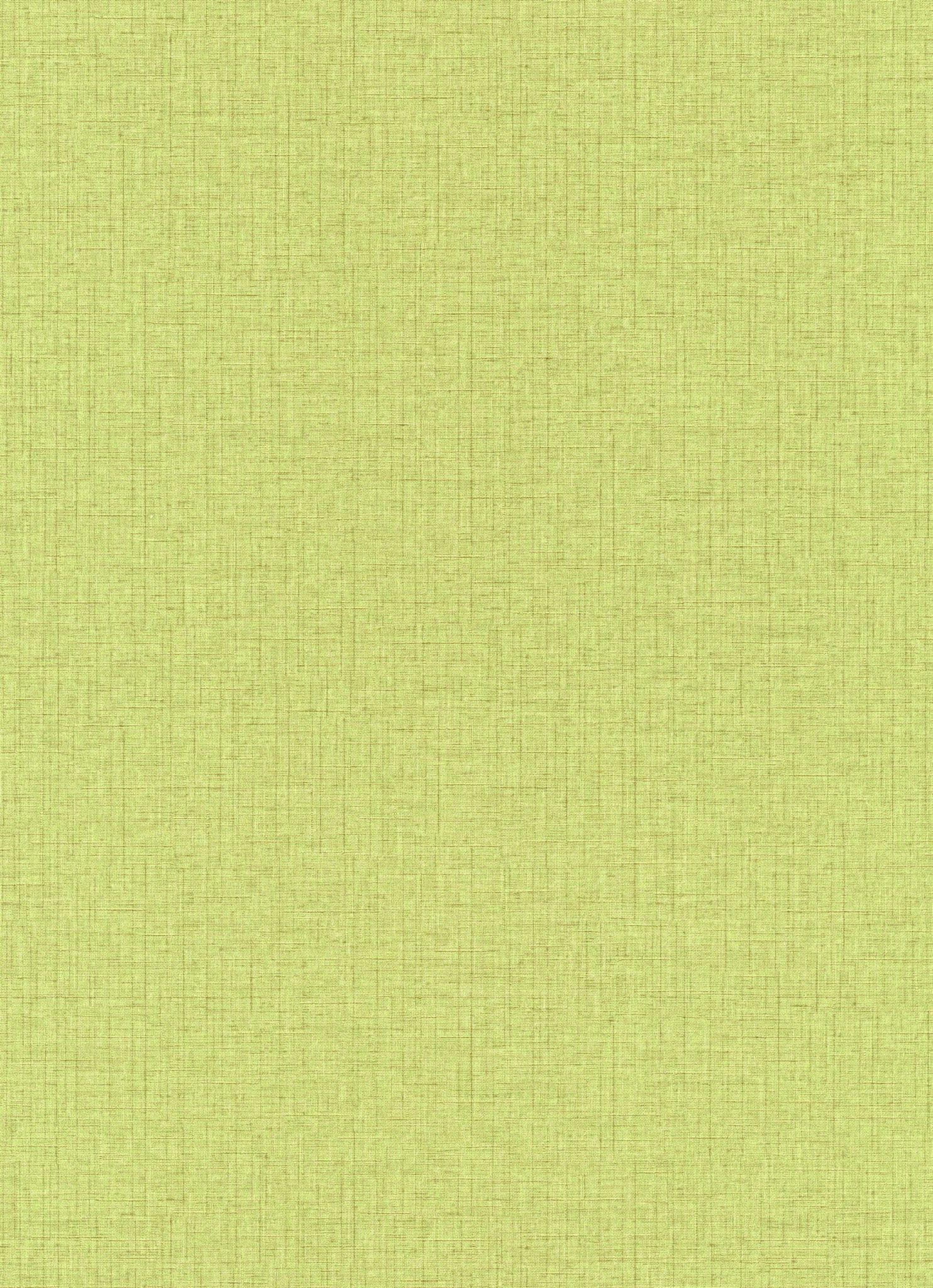 Amazonia Page 3 Wallpaper AM30026 By Galerie