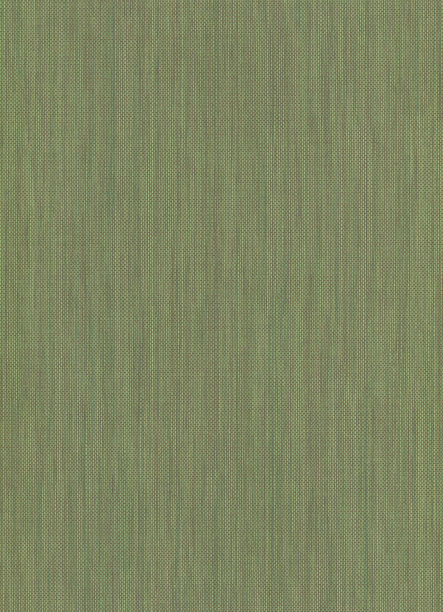 Amazonia Page 30 Wallpaper AM30038 By Galerie