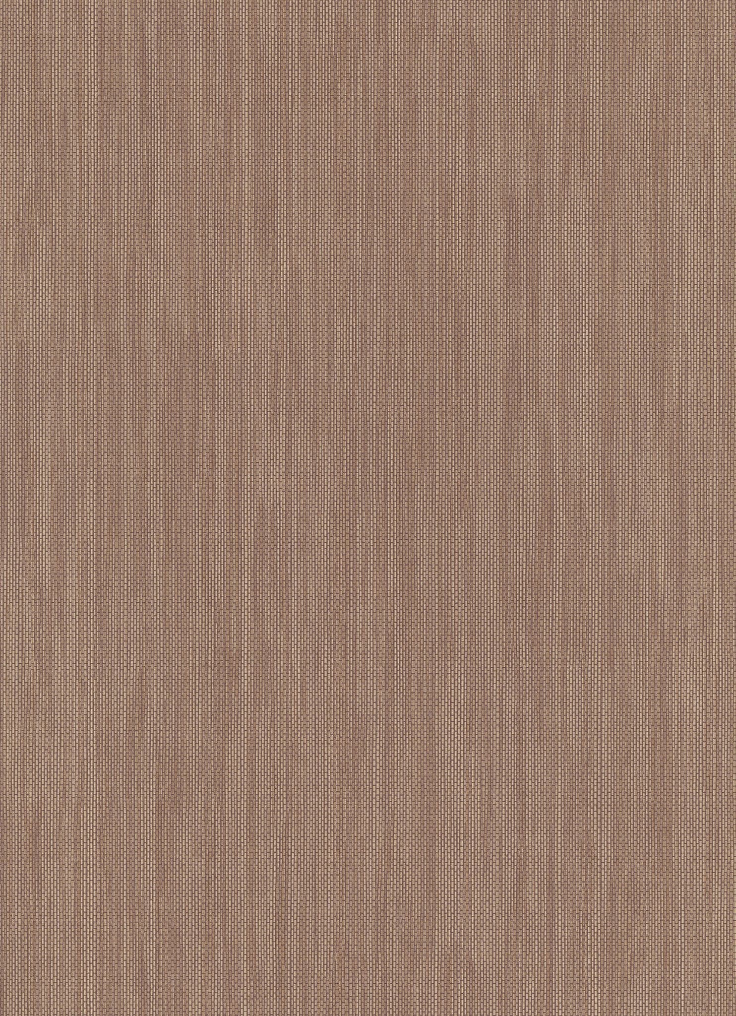 Amazonia Page 32 Wallpaper AM30036 By Galerie