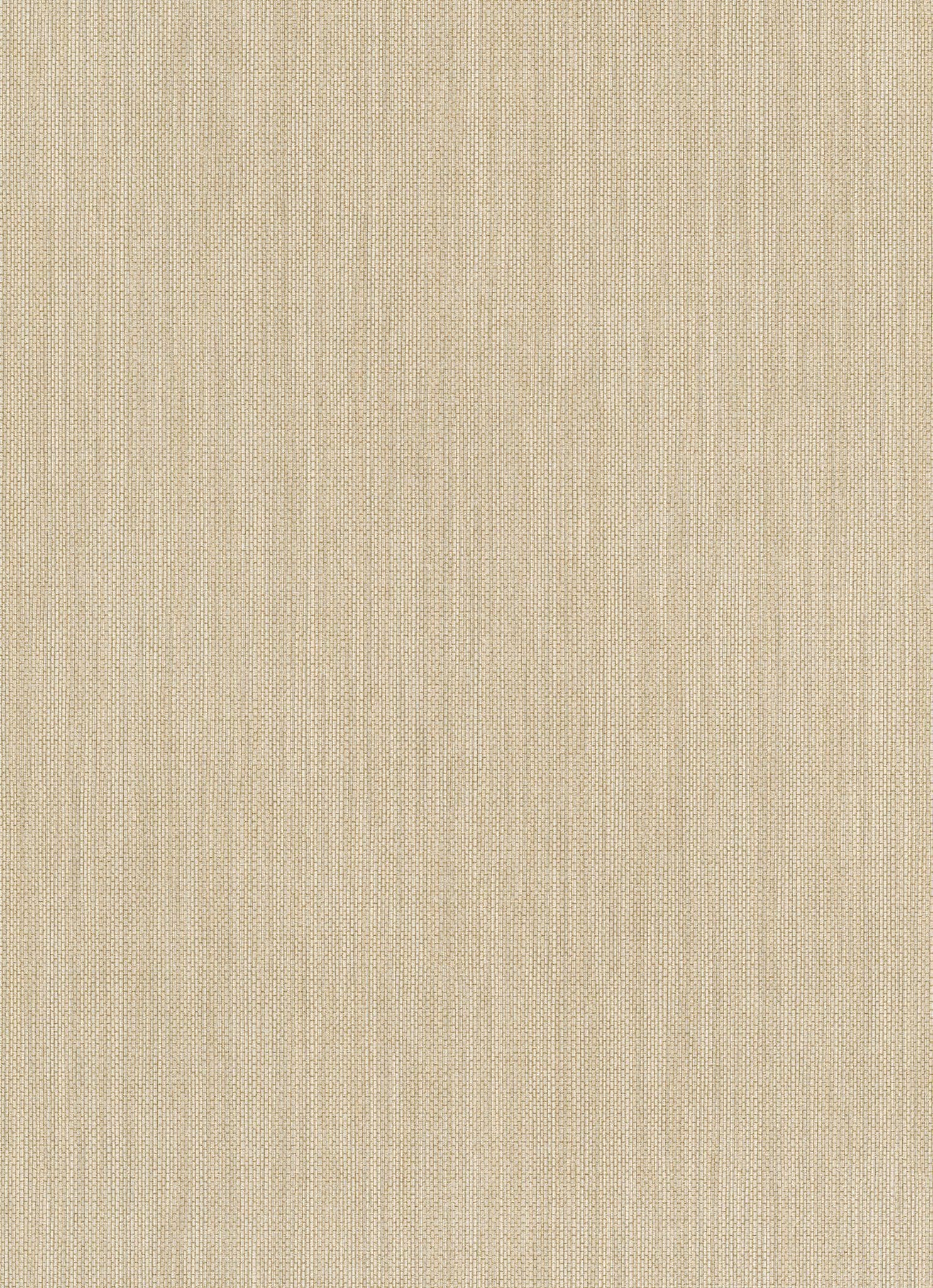 Amazonia Page 37 Wallpaper AM30034 By Galerie