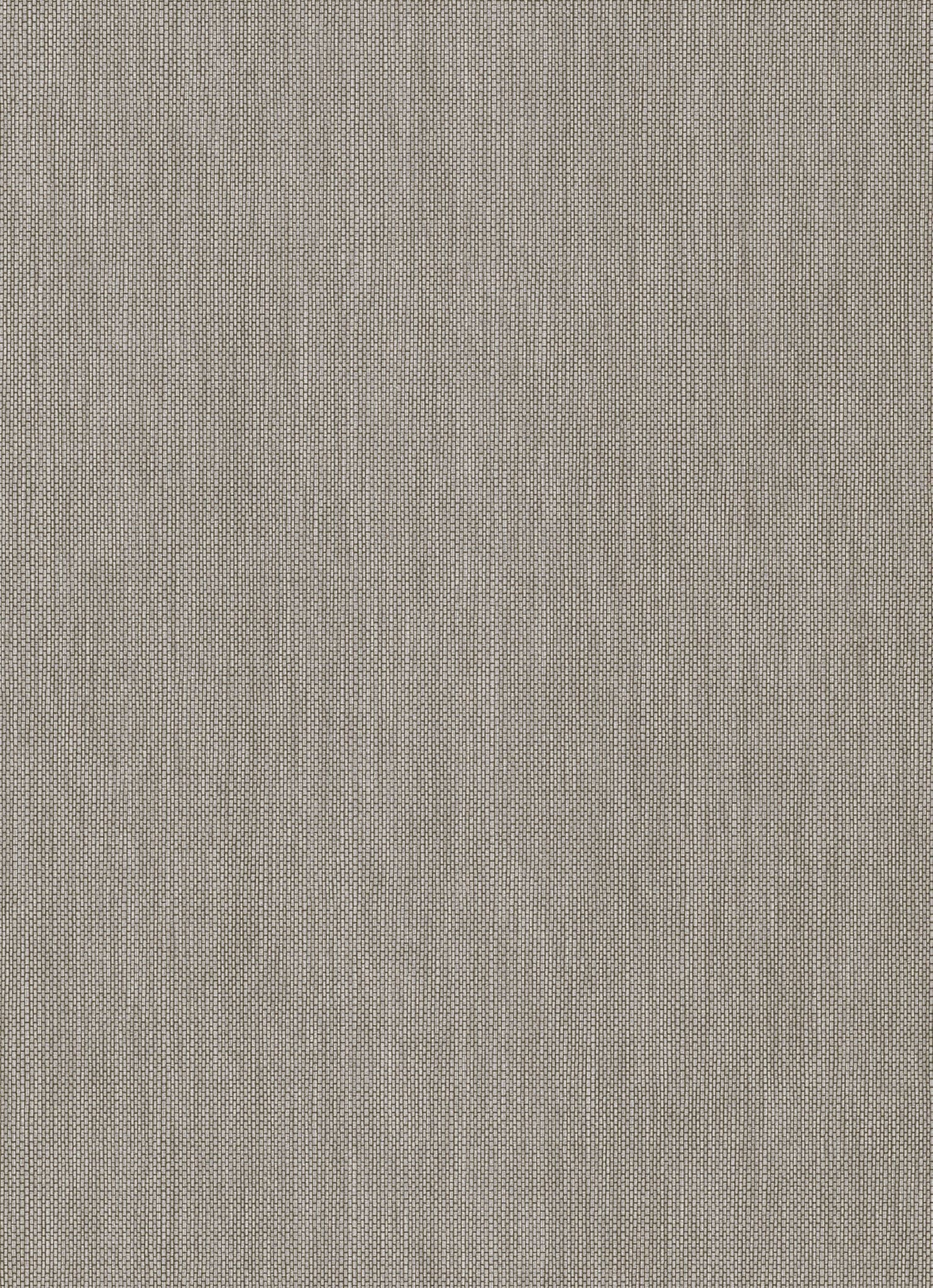 Amazonia Page 39 Wallpaper AM30035 By Galerie