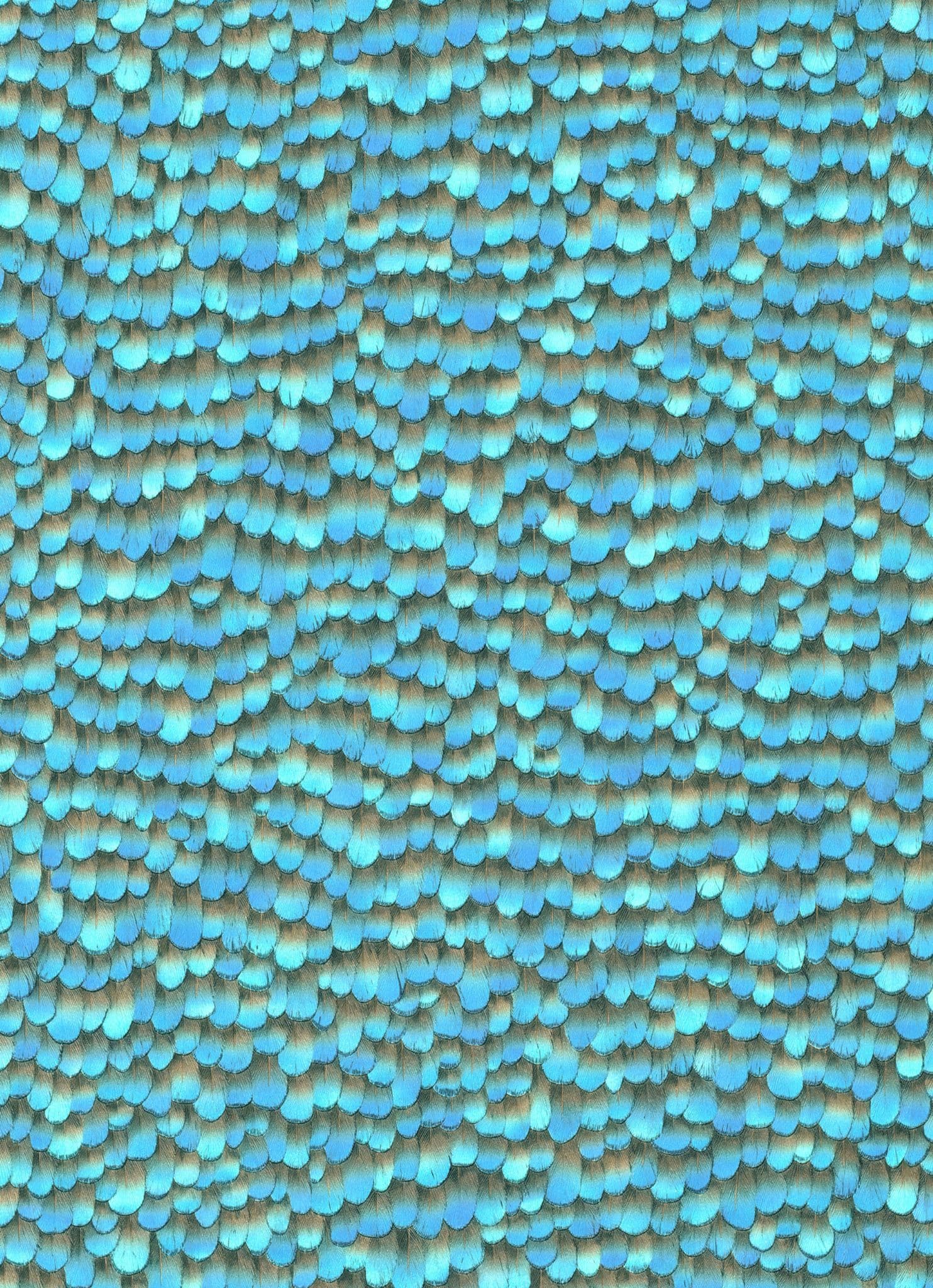 Amazonia Page 49 Wallpaper AM30018 By Galerie