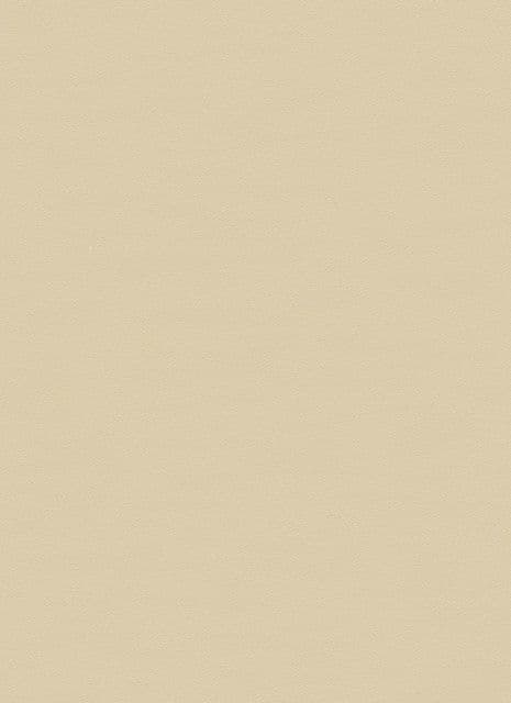 Ariana Clara Texture Beige Wallpaper 35292 By Ora