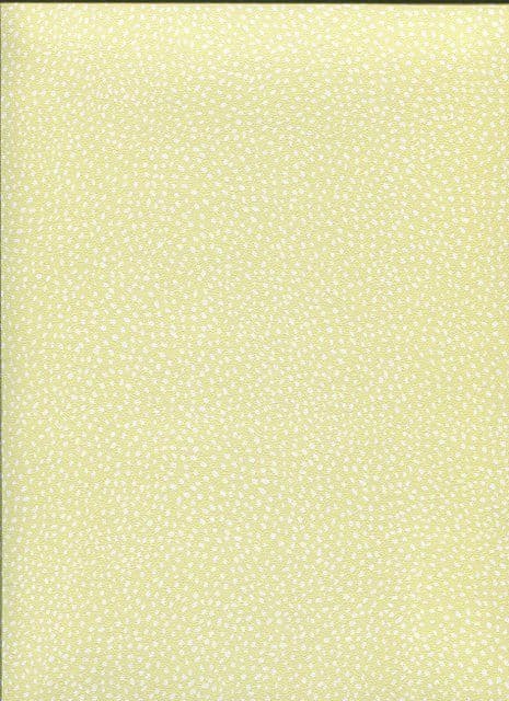 Bambino XVII Wallpaper 246131 By Rasch For Galerie