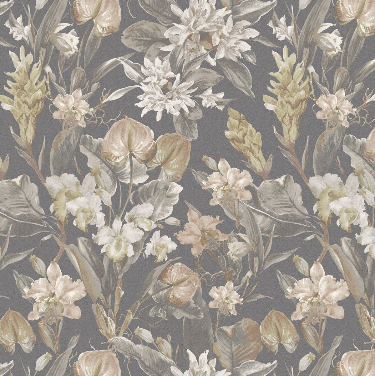 Bellagio Sketch Twenty 3 Wallpaper Florence Graphite Bloom BE01509 BEO1509 By Tim Wilman