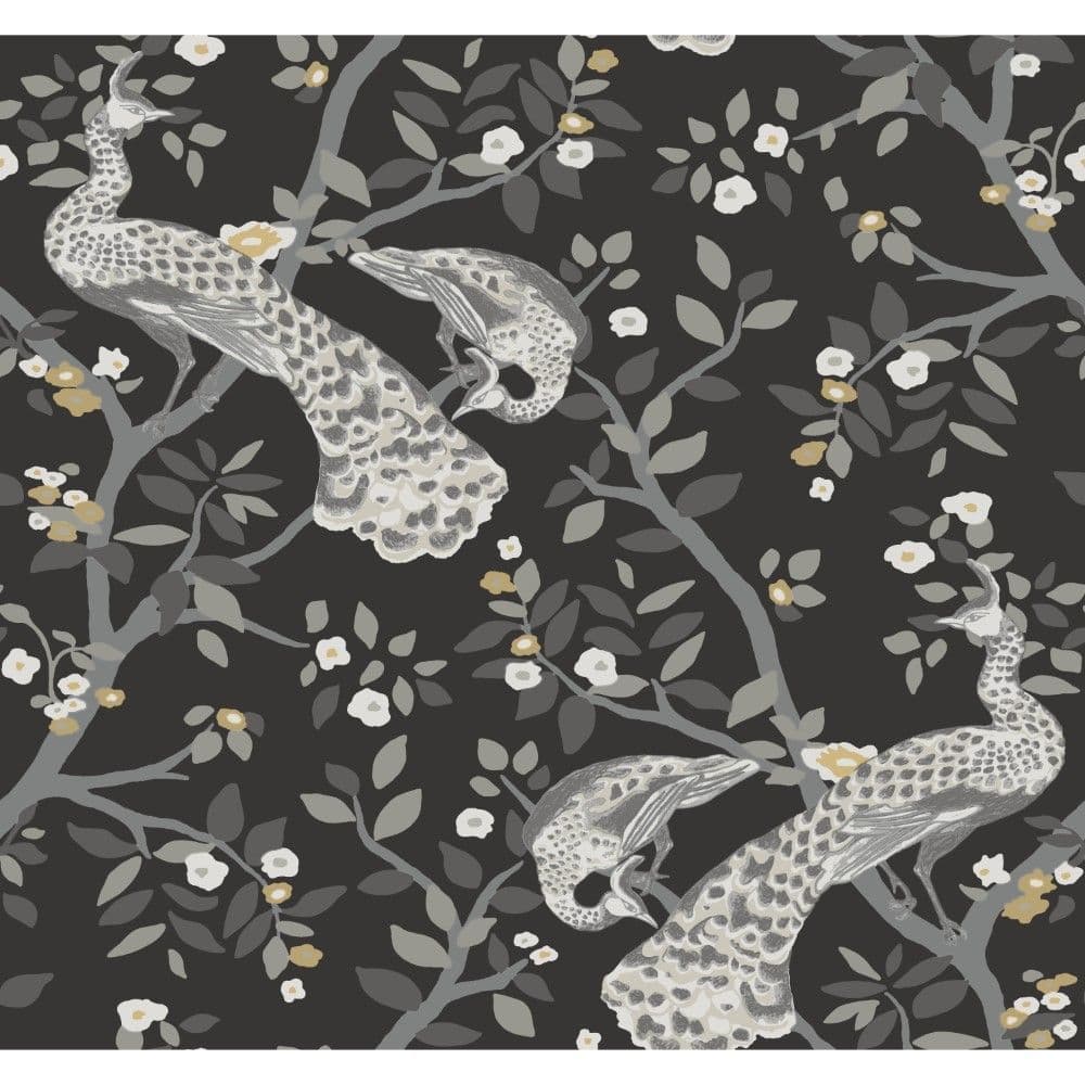 Black & White Wallpaper BW3802 Plume By York Wallcoverings For Dixons