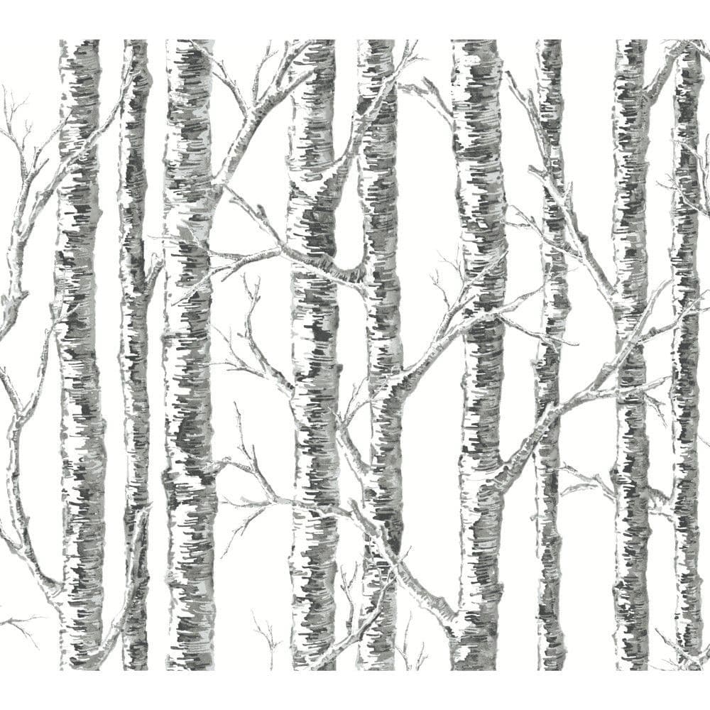 Black & White Wallpaper BW3902 Paper Birch By York Wallcoverings For Dixons