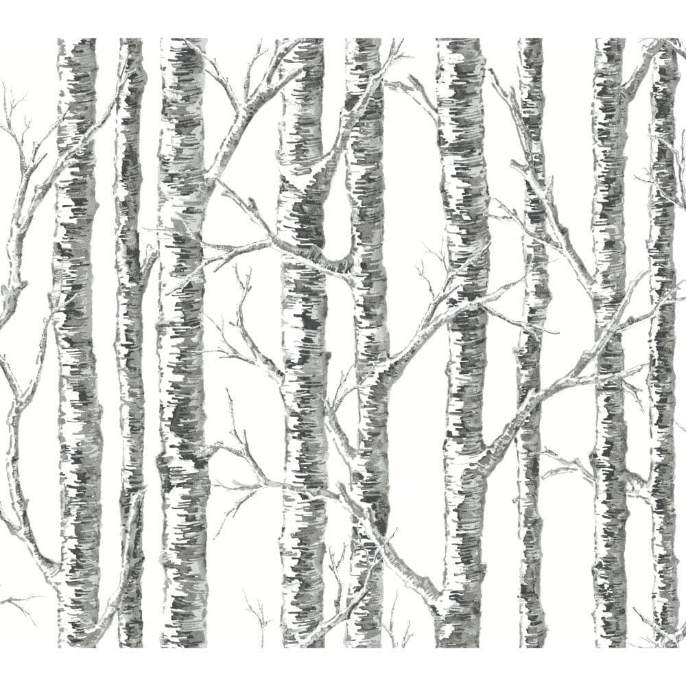 Black & White Wallpaper BW3902 Paper Birch By York Wallcoverings For Dixons