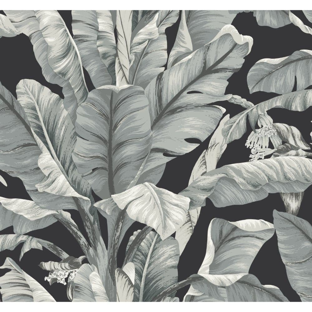 Black & White Wallpaper BW3971 Banana Leaf By York Wallcoverings For Dixons