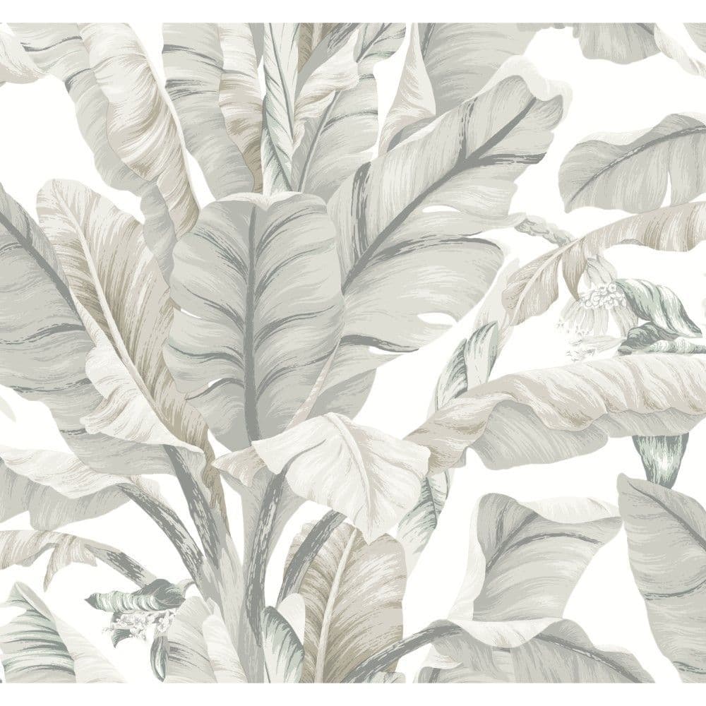 Black & White Wallpaper BW3972 Banana Leaf By York Wallcoverings For Dixons