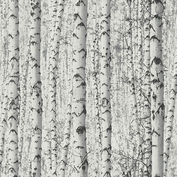 Blooming Wild Wallpaper BW51006 Page 13 14 By AS Creation For Galerie