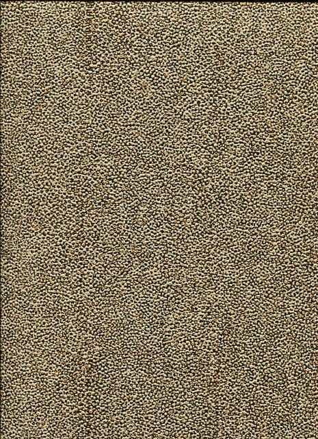 Cabinet Of Curiosities Wallpaper Iguana Amber CAB904 or CAB 904 By Khroma Masureel