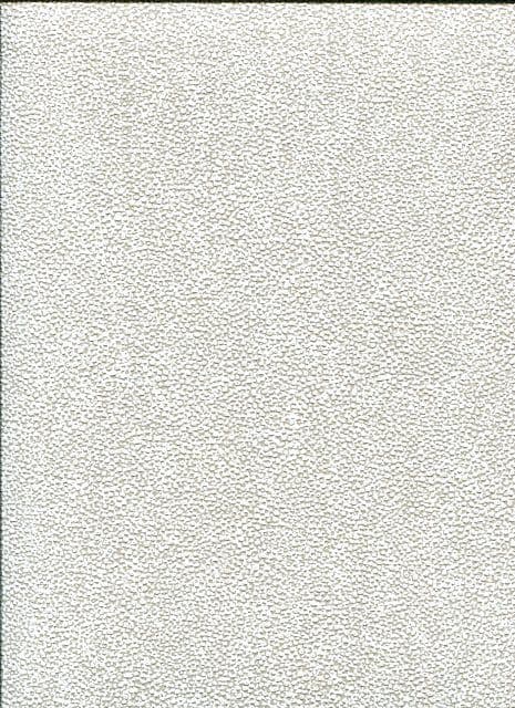 Cabinet Of Curiosities Wallpaper Iguana Oyster CAB903 or CAB 903 By Khroma Masureel
