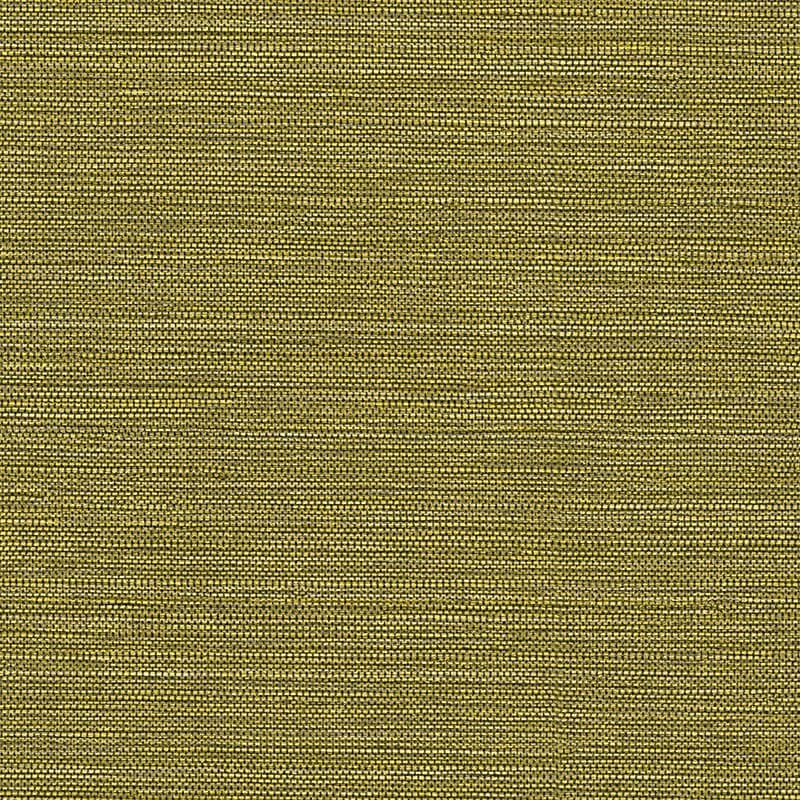 Chromatic Wallpaper 45114 By Emiliana Parati For Dixons Exclusive