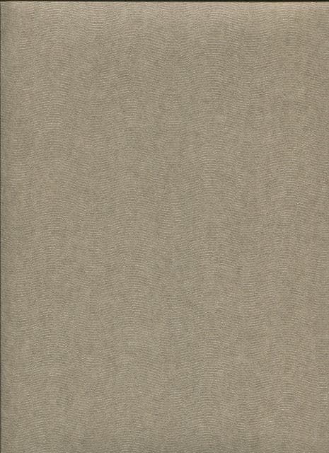 Dandy Wallpaper Gallant Plain 72340762 7234 07 62 By Casamance