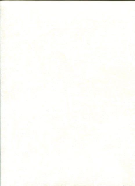 Domotex New Style 53504 By Marburg For Today Interiors