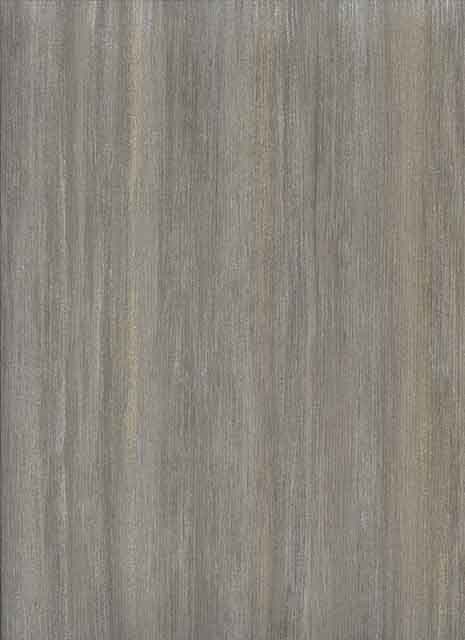 Euphoria Sensation Sable Wallpaper 1914/109 By Prestigious Textiles