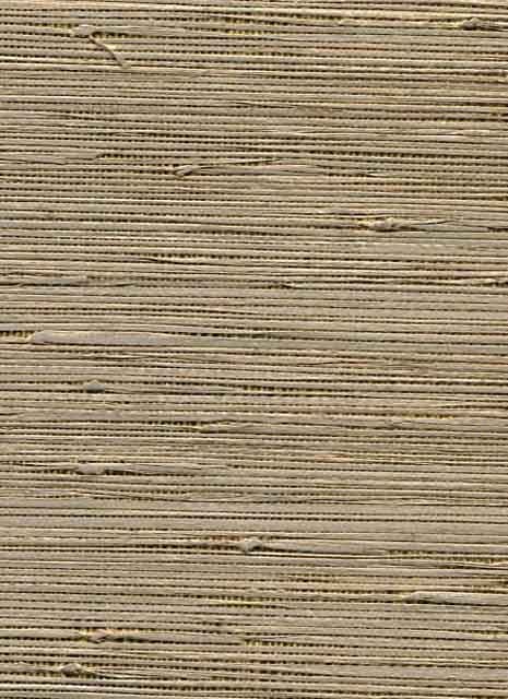 Ferrara SketchTwenty3 Wallpaper Antique Grass Gold FR01002 FRO1002 By Tim Wilman