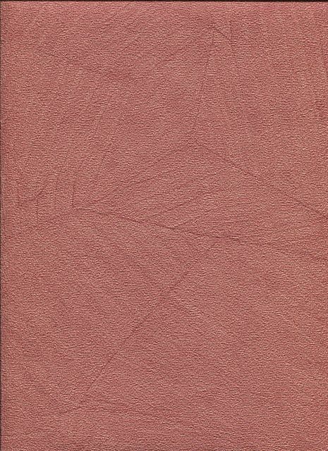 Floral Dance Wallpaper 51141410 By Galerie