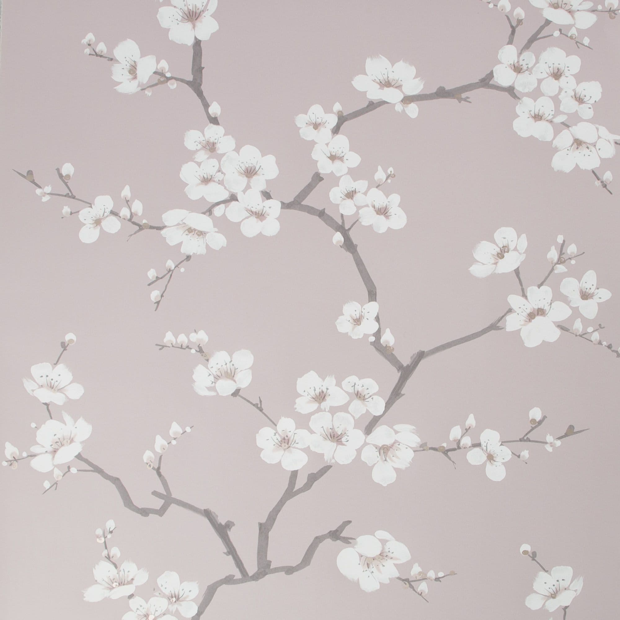 Fresca Retro Apple Blossom Pink Wallpaper 108290 By Fresco Graham & Brown