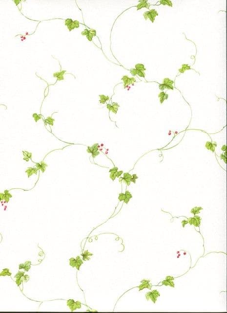 Fresh Kitchens 5 Wallpaper FK34438 By Norwall For Galerie