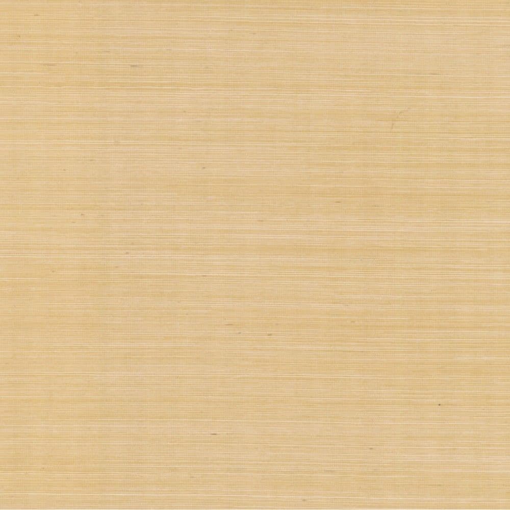 Grasscloth & Natural Resource Wallpaper Designer Sisals 100 Hues GV0111NW By Ronald Redding Designs
