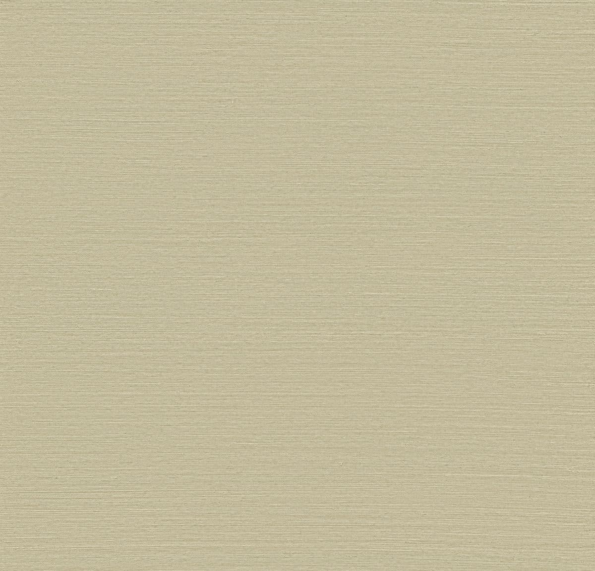 Grasscloth & Natural Resource Wallpaper Designer Sisals 100 Hues GV0174NW By Ronald Redding Designs