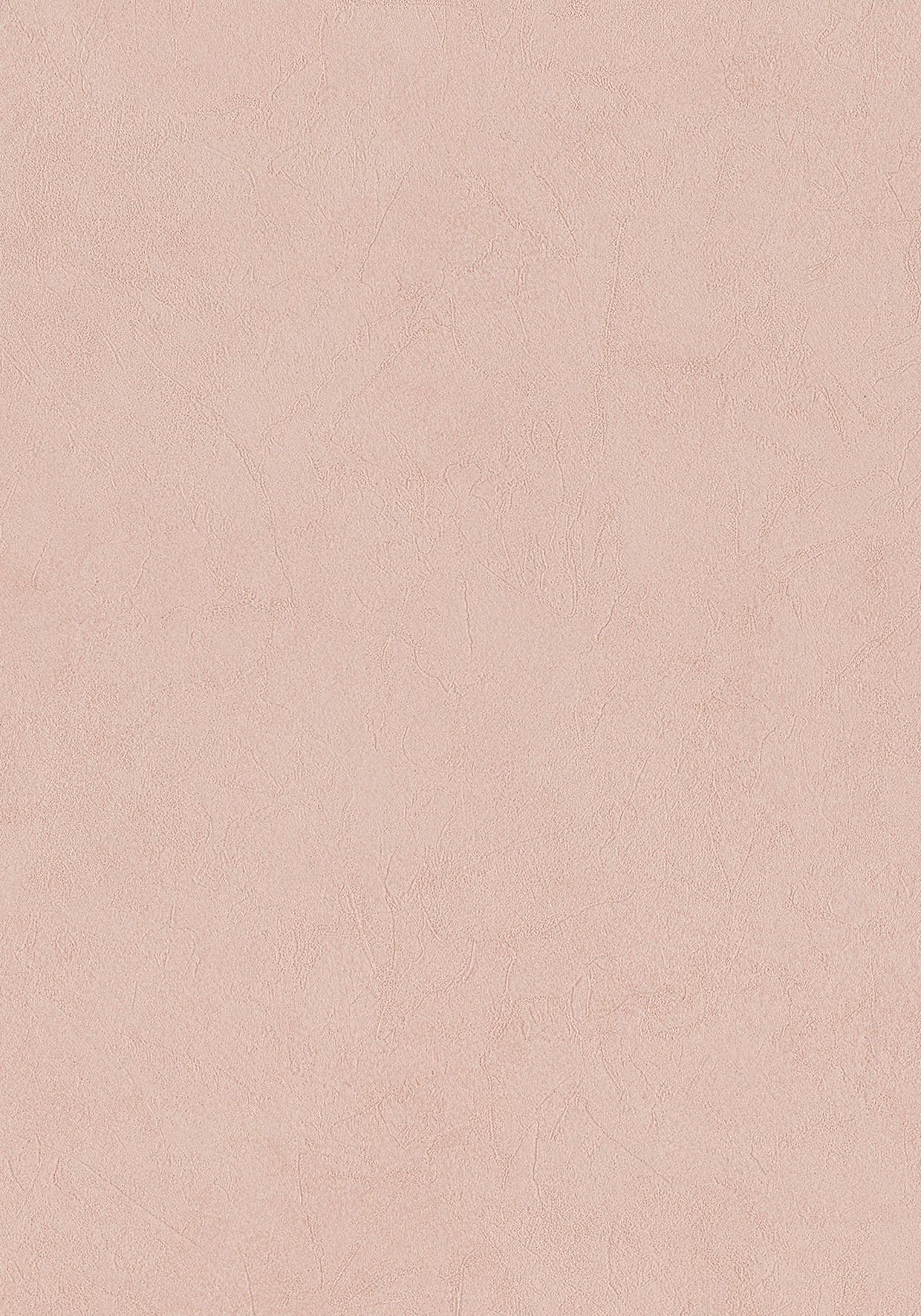 Imagine Wallpaper Blush 221055 By BN Wallcoverings For Tektura