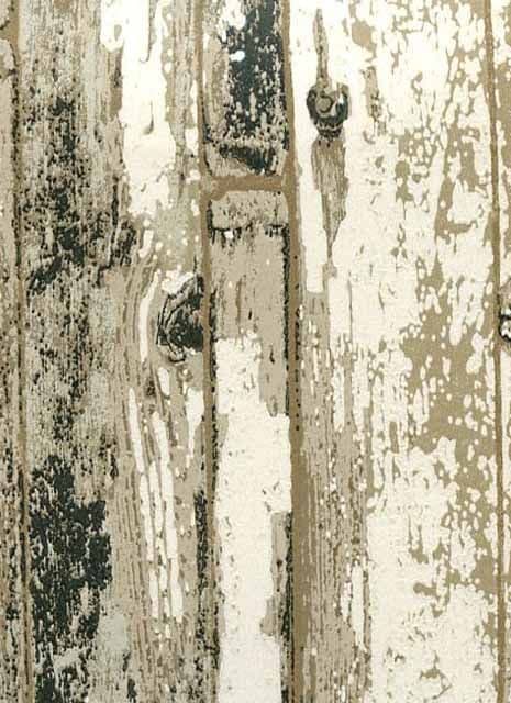 Index Driftwood Bronze Wallpaper 1987/125 By Prestigious Wallcoverings