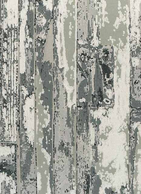 Index Driftwood Carbon Wallpaper 1987/937 By Prestigious Wallcoverings