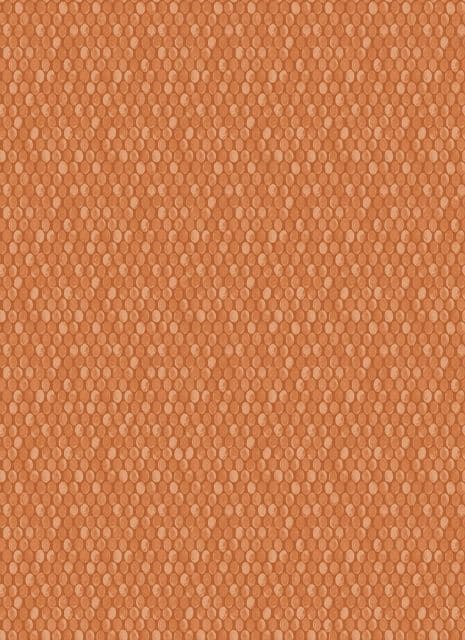 Into The Woods Rubus Burnt Orange  Wallpaper 98500 By Holden