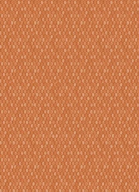 Into The Woods Rubus Burnt Orange  Wallpaper 98500 By Holden