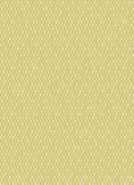 Into The Woods Rubus Citrus  Wallpaper 98503 By Holden