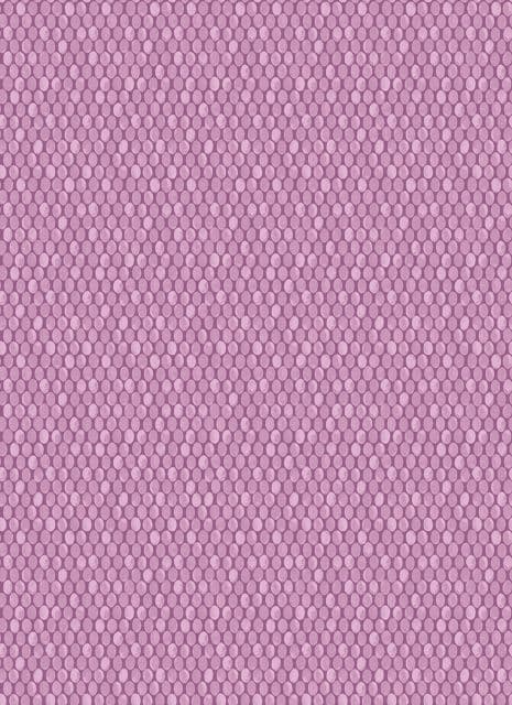 Into The Woods Rubus Plum Wallpaper 98507 By Holden
