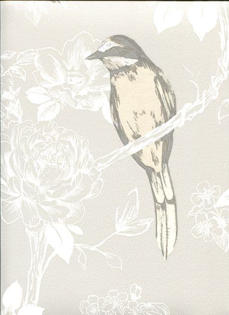 Maison Songbird Chalk Wallpaper 1616/076 By Prestigious Wallcoverings