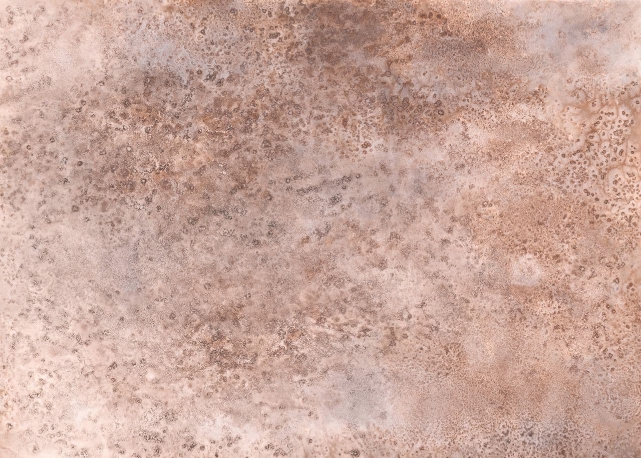 Moana Wallpaper Mural 300955 By Rasch For Today Interiors