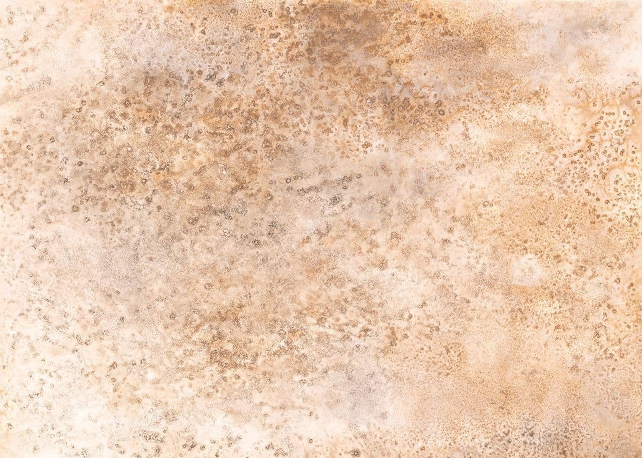Moana Wallpaper Mural 301105 By Rasch For Today Interiors