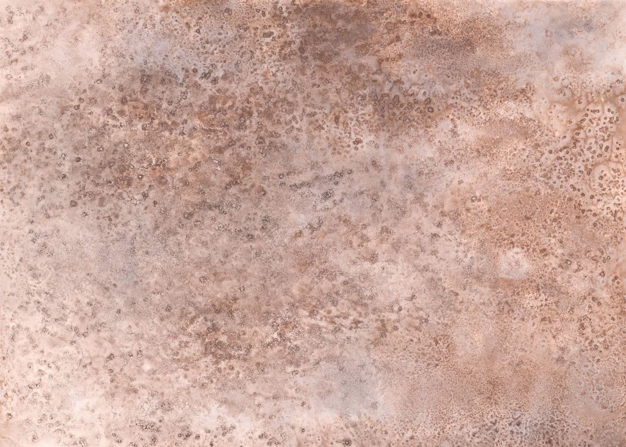 Moana Wallpaper Mural 301112 By Rasch For Today Interiors