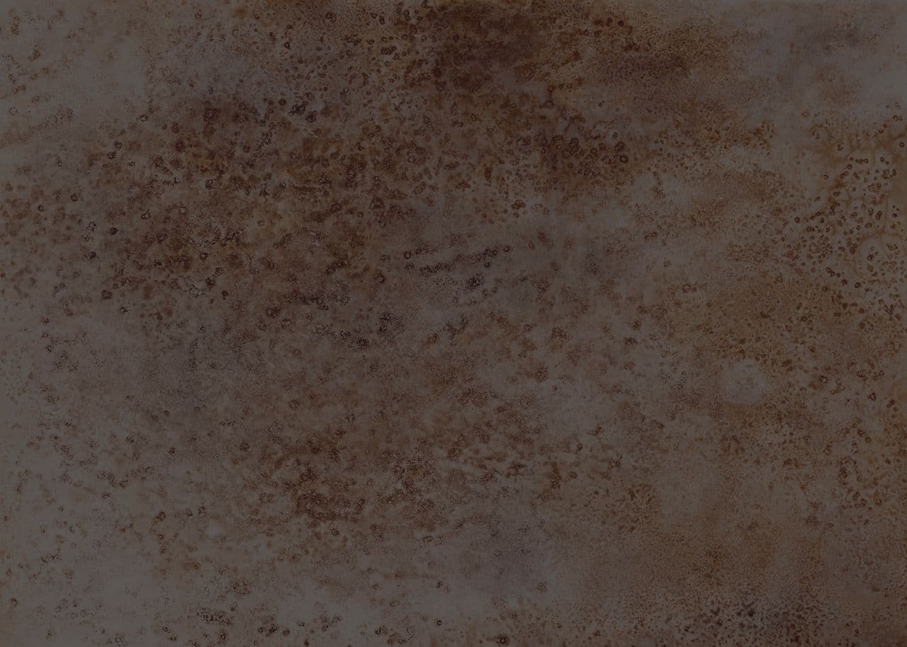 Moana Wallpaper Mural 301143 By Rasch For Today Interiors