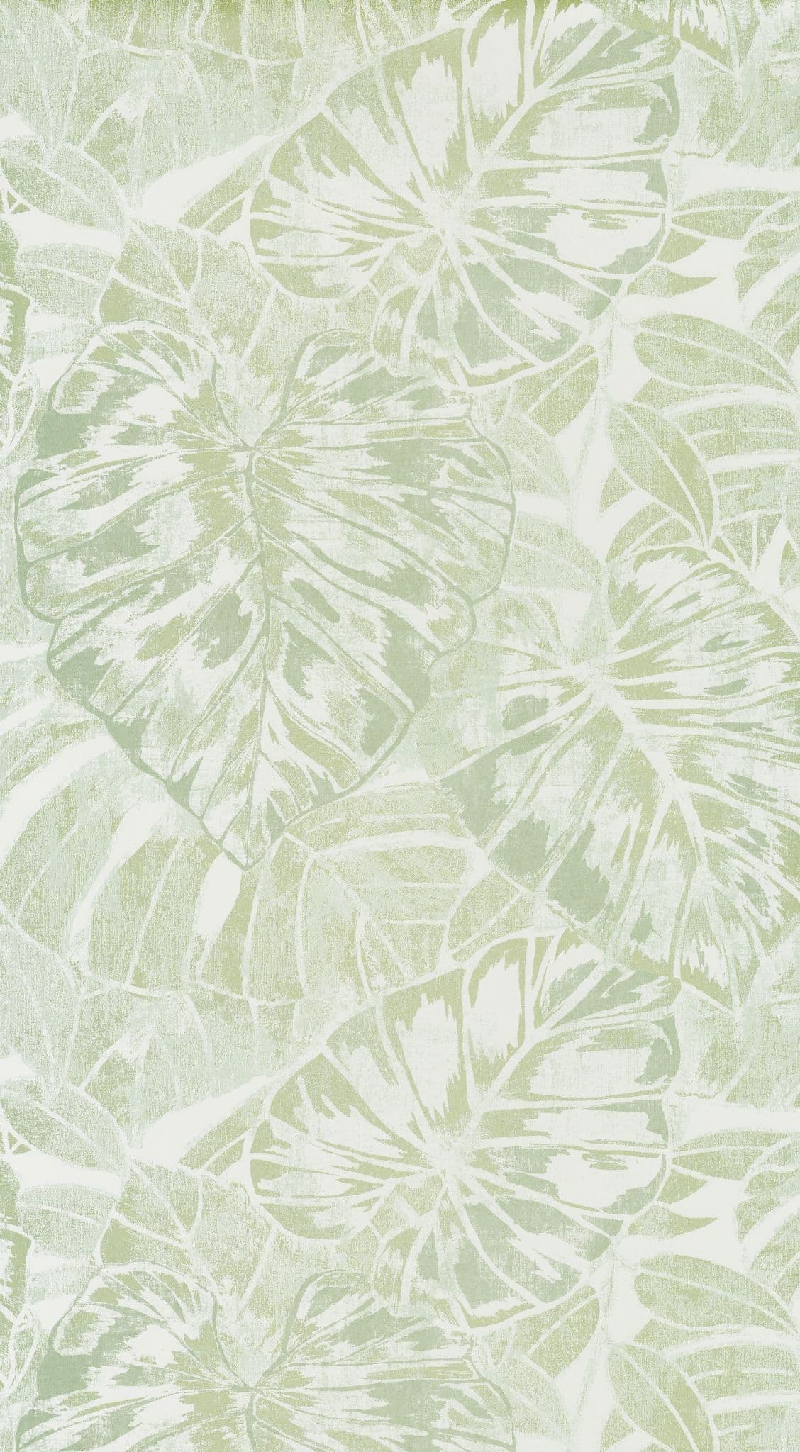 Panama Wallpaper Feuilles PANA 8107 72 24 PANA81077224 By Casadeco