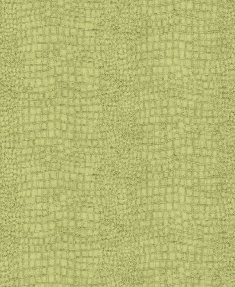 Paradise Crocodile Lime Wallpaper 32-663 By Superfresco Easy Graham & Brown