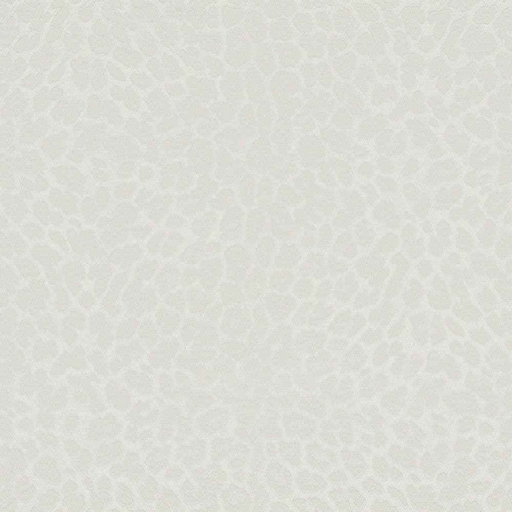 Philipp Plein Wallpaper Z80041 Zambaiti For Dixons Exclusive