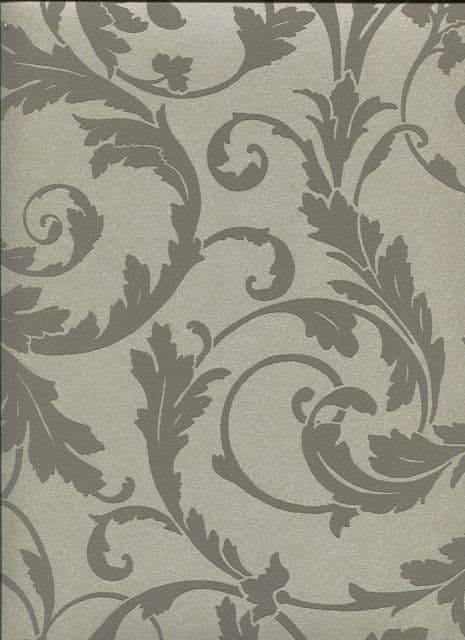 Regency SketchTwenty3 Wallpaper Scroll Taupe PV00233 By Tim Wilman For Blendworth