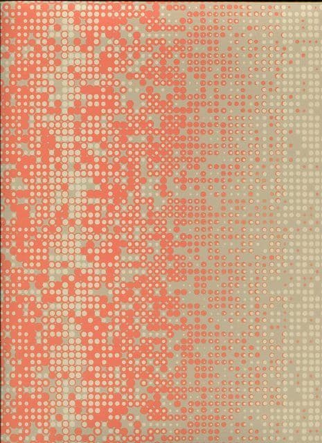 Risky Business 2 Wallpaper RY2741 By York Wallcoverings For Dixons Exclusive