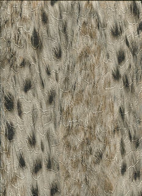 Roberto Cavalli Home No.3 Wallpaper RC14064 By Emiliana For Colemans