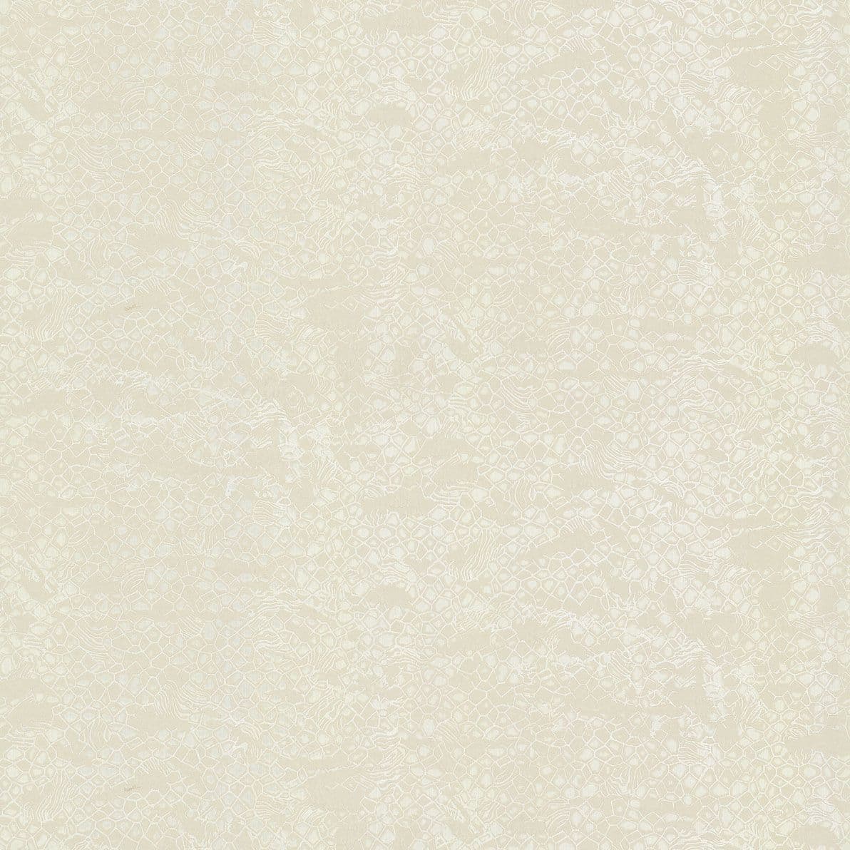 Roberto Cavalli Home No.8 Wallpaper RC19037 By Emiliana Parati For Colemans