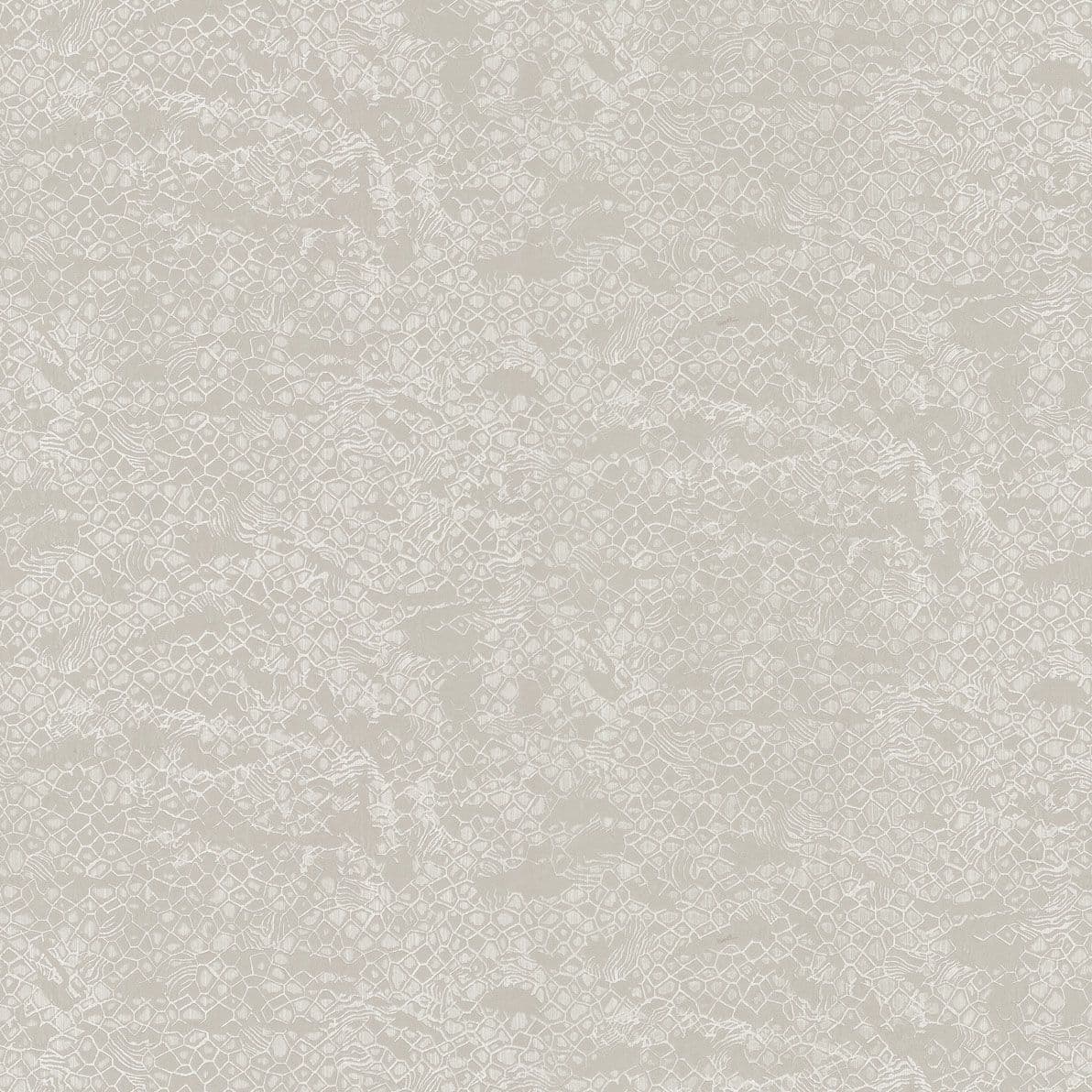 Roberto Cavalli Home No.8 Wallpaper RC19038 By Emiliana Parati For Colemans