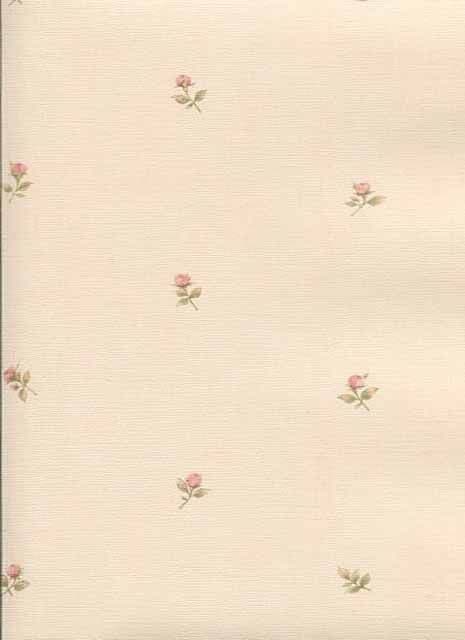 Rose Garden Wallpaper CG28854 By Norwall For Galerie