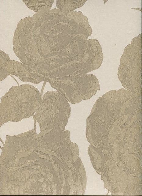 Savile Row SketchTwenty3 Wallpaper Rose Gold SR00524 By Tim Wilman For Blendworth