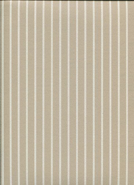 Savile Row SketchTwenty3  Wallpaper Saville Row Beige SR00531 By Tim Wilman For Blendworth